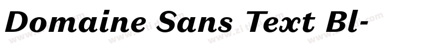 Domaine Sans Text Bl字体转换